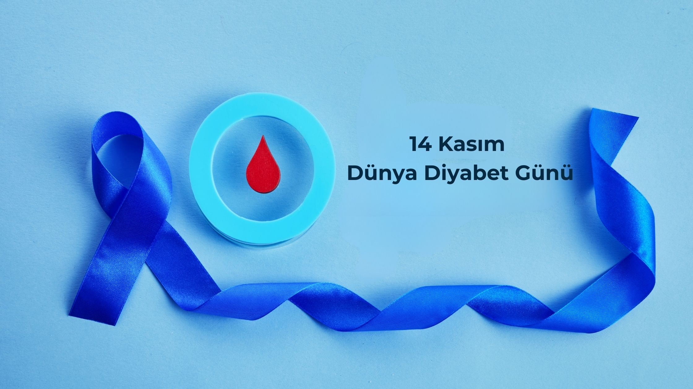 14 Kasım Dünya Diyabet Günü